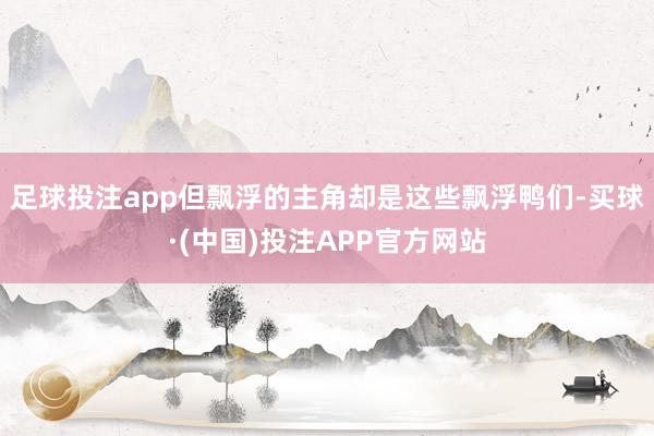 足球投注app但飘浮的主角却是这些飘浮鸭们-买球·(中国)投注APP官方网站