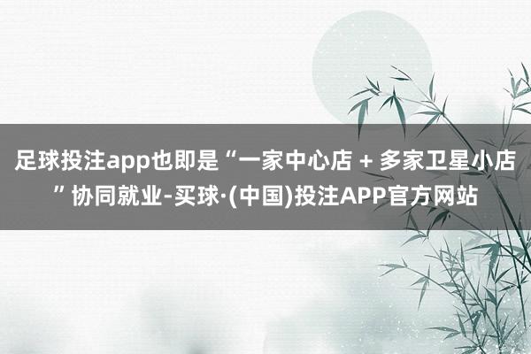 足球投注app也即是“一家中心店 + 多家卫星小店”协同就业-买球·(中国)投注APP官方网站