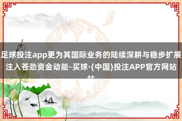 足球投注app更为其国际业务的陆续深耕与稳步扩展注入苍劲资金动能-买球·(中国)投注APP官方网站