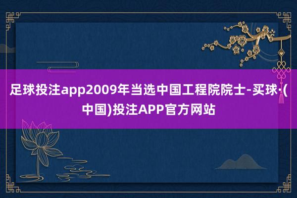 足球投注app2009年当选中国工程院院士-买球·(中国)投注APP官方网站