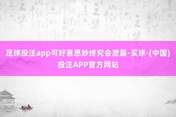 足球投注app可好意思妙终究会泄露-买球·(中国)投注APP官方网站