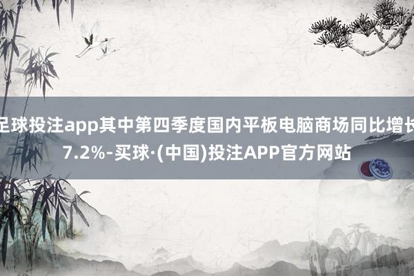 足球投注app其中第四季度国内平板电脑商场同比增长7.2%-买球·(中国)投注APP官方网站