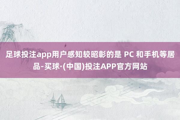 足球投注app用户感知较昭彰的是 PC 和手机等居品-买球·(中国)投注APP官方网站