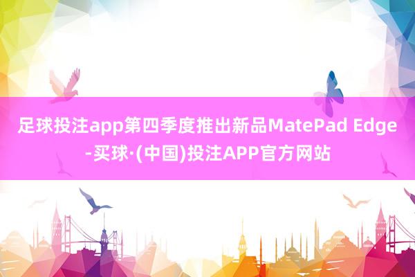 足球投注app第四季度推出新品MatePad Edge-买球·(中国)投注APP官方网站